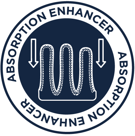 Absorption Enhancer Icon