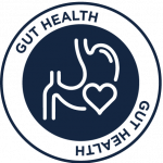 Gut Health Icon