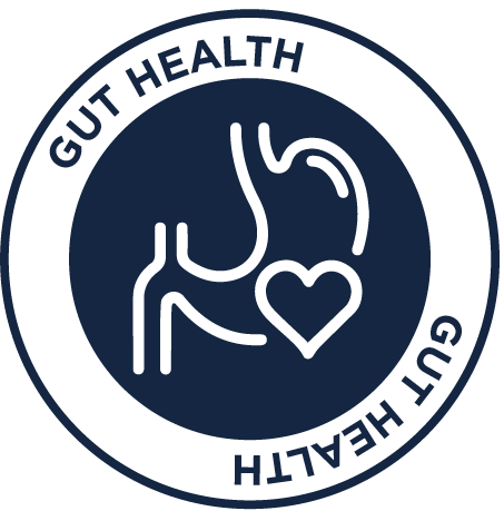 Gut Health Icon